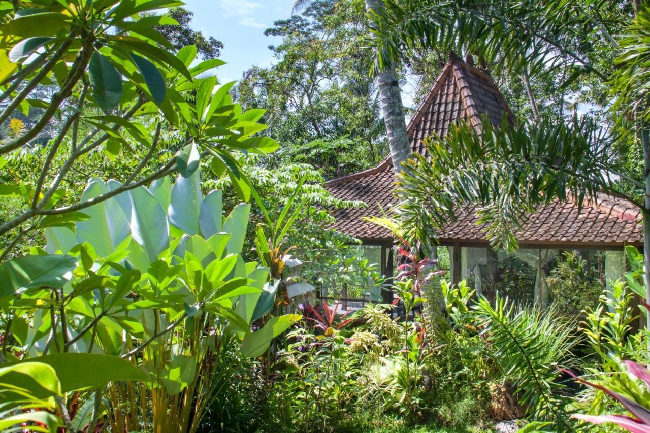 Villa Mahadevi Jungle Retreat Joglo 1 Ubud Dış mekan fotoğraf